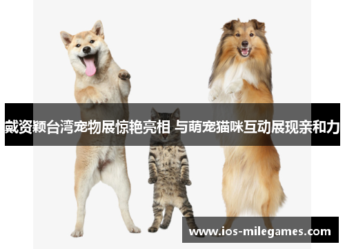 戴资颖台湾宠物展惊艳亮相 与萌宠猫咪互动展现亲和力