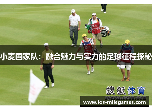 小麦国家队:融合魅力与实力的足球征程探秘 小麦国家队:融合魅力与实力的足球征程探秘