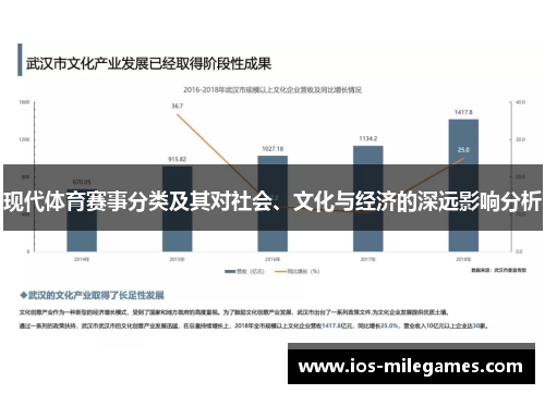 现代体育赛事分类及其对社会、文化与经济的深远影响分析 现代体育赛事分类及其对社会、文化与经济的深远影响分析