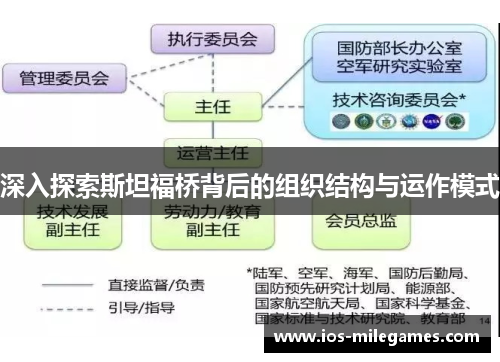深入探索斯坦福桥背后的组织结构与运作模式