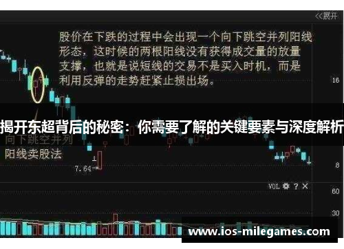揭开东超背后的秘密:你需要了解的关键要素与深度解析 揭开东超背后的秘密:你需要了解的关键要素与深度解析