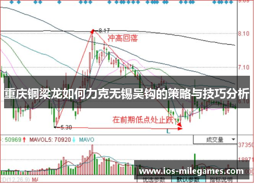 重庆铜梁龙如何力克无锡吴钩的策略与技巧分析 重庆铜梁龙如何力克无锡吴钩的策略与技巧分析